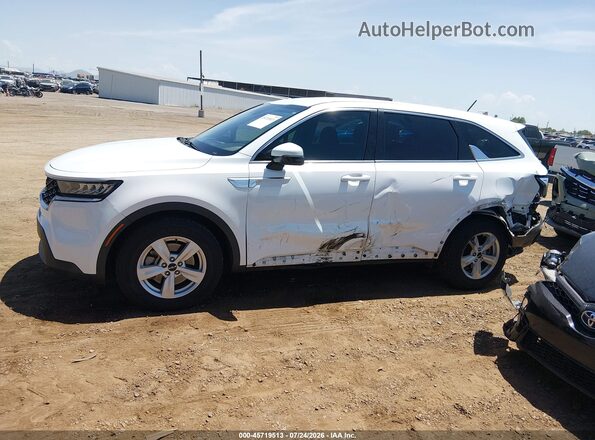 5XYRG4LC1PG215536 2023 KIA SORENTO White Widok wnętrza 360 stopni