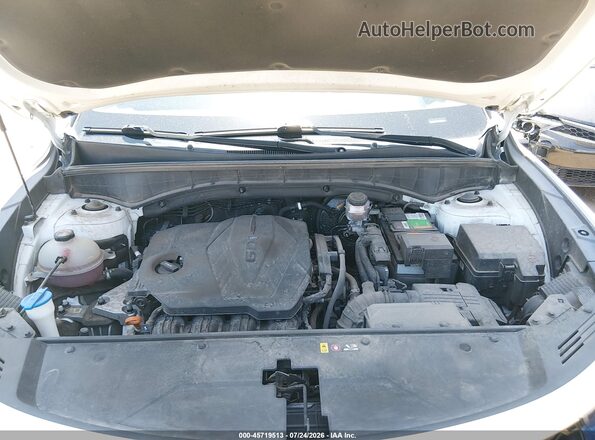 5XYRG4LC1PG215536 2023 KIA SORENTO White Widok z tyłu