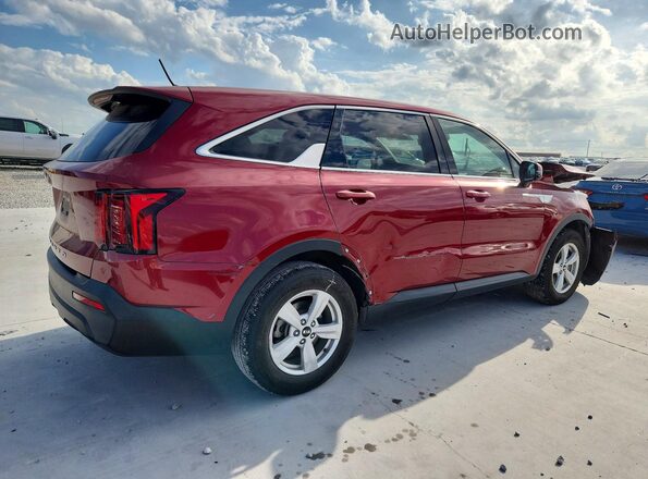 5XYRG4LC3MG028536 2021 KIA SORENTO Burgundy Tył prawy