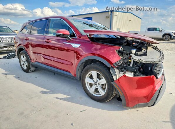 5XYRG4LC3MG028536 2021 KIA SORENTO Burgundy Przód prawy