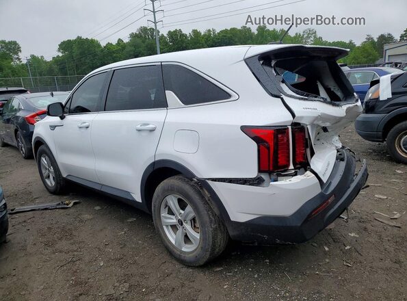 5XYRG4LC5PG205673 2023 KIA SORENTO Белый Задняя левая четверть