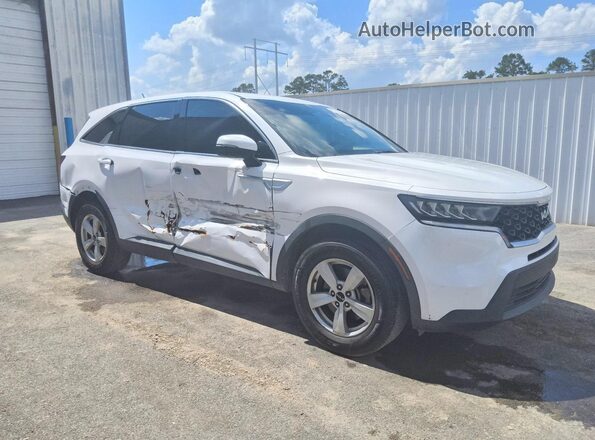 5XYRG4LC9PG172497 2023 KIA SORENTO Белый Передняя правая четверть