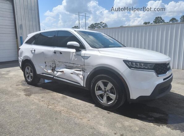 5XYRG4LC9PG172497 2023 KIA SORENTO Белый 
