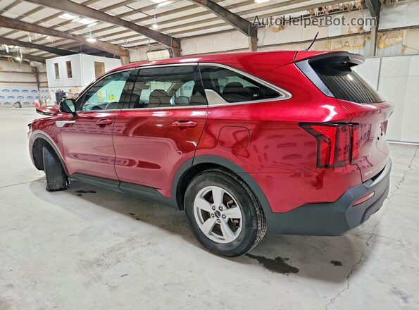 5XYRG4LCXPG204860 2023 KIA SORENTO Red Tył lewy
