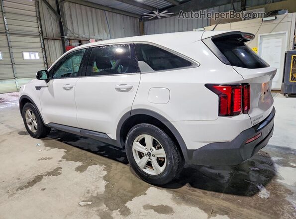 5XYRGDLC8PG184835 2023 KIA SORENTO White უკანა მარცხენა