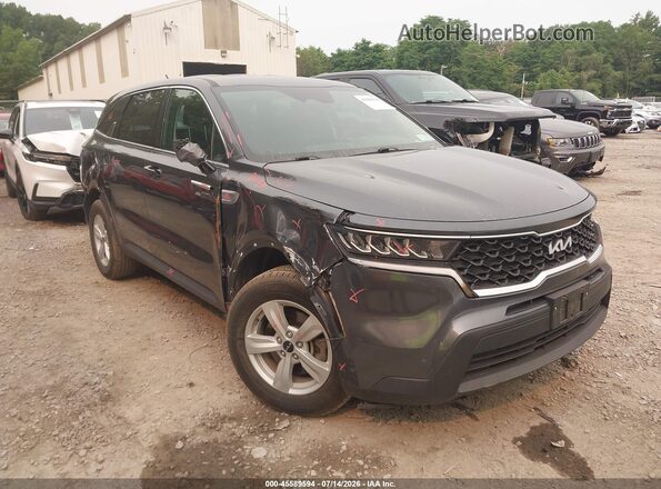 5XYRGDLCXPG200050 2023 KIA SORENTO Gray Widok z przodu