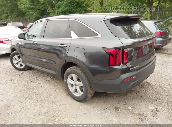 5XYRGDLCXPG200050 2023 KIA SORENTO Gray Tył lewy