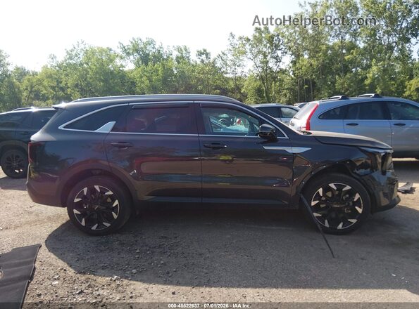 5XYRHDJF5SG375910 2025 KIA SORENTO Серый Вид задней части салона