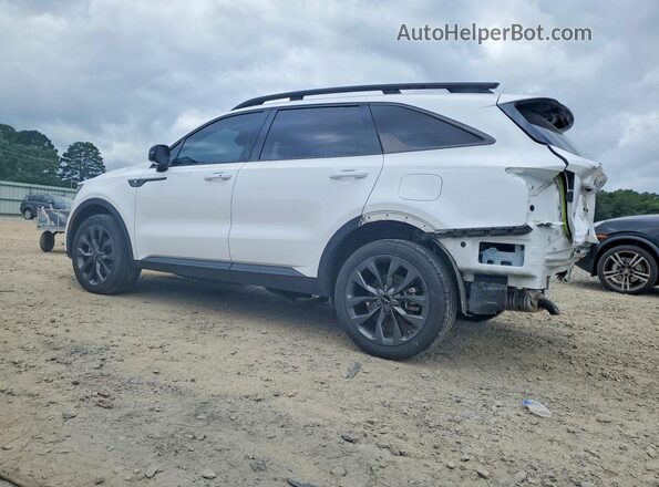 5XYRHDLF6PG247065 2023 KIA SORENTO White Հետևի ձախ