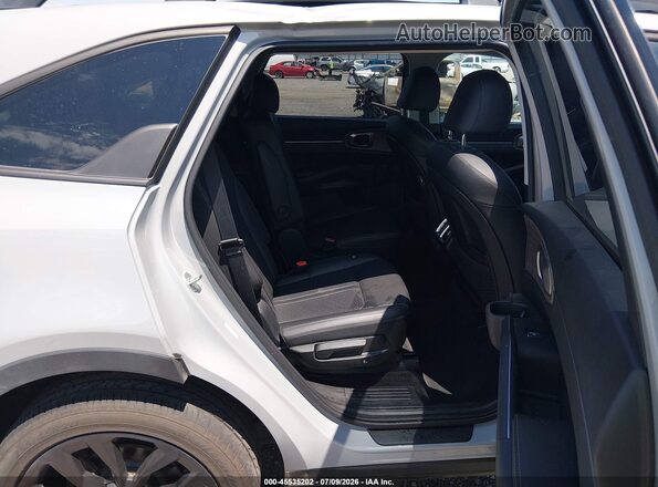 5XYRHDLFXPG168224 2023 KIA SORENTO Gray Widok naklejki z numerem VIN