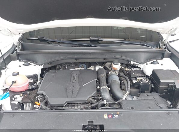 5XYRK4LF2MG072777 2021 KIA SORENTO White Вид ззаду