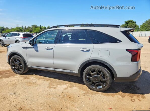 5XYRKDJF1RG256084 2024 KIA SORENTO Серый Задняя левая четверть
