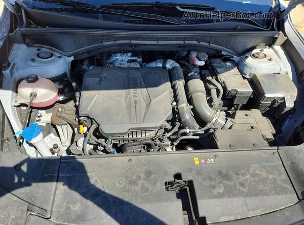 5XYRKDJF1RG256084 2024 KIA SORENTO Серый Вид задней части салона