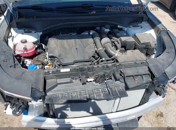 5XYRKDJF8RG267535 2024 KIA SORENTO White Вид ззаду
