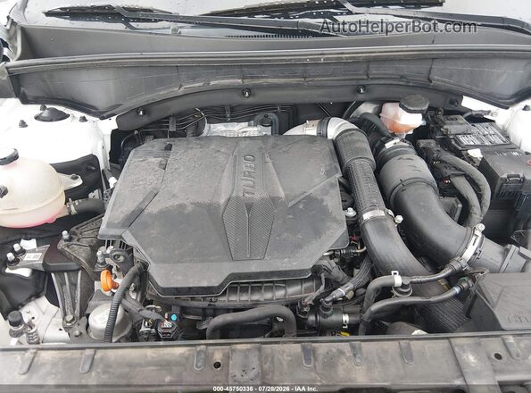 5XYRKDLF7MG050984 2021 KIA SORENTO Белый Вид сзади