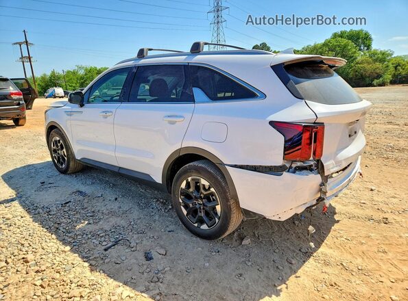 5XYRL4JC1RG262129 2024 KIA SORENTO Белый Задняя левая четверть