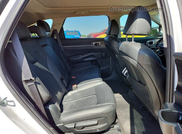 5XYRL4JC1RG262129 2024 KIA SORENTO Белый Вид задней части салона