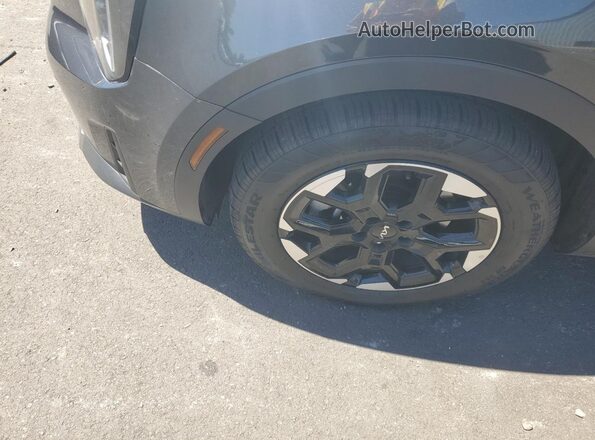 5XYRL4JC3RG286366 2024 KIA SORENTO Gray VIN կոդի պիտակի տեսք