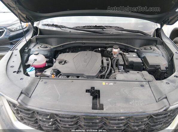 5XYRL4JC5RG283453 2024 KIA SORENTO Gray უკანა ხედი