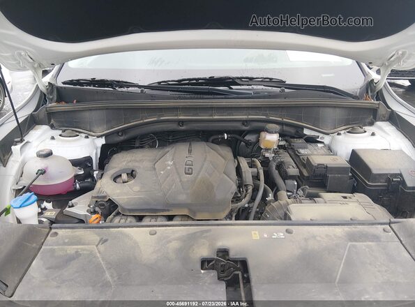 5XYRL4JC7RG291084 2024 KIA SORENTO White უკანა ხედი