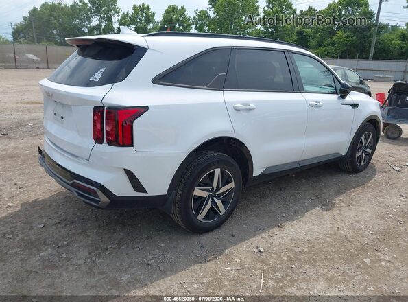 5XYRL4LC4PG178591 2023 KIA SORENTO White უკანა მარჯვენა