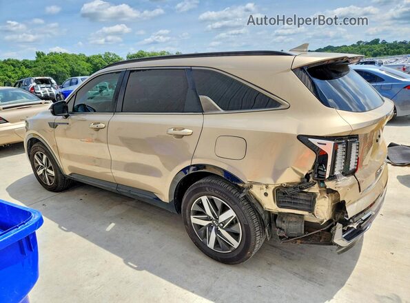 5XYRL4LC9MG009906 2021 KIA SORENTO Gold Задня ліва чверть