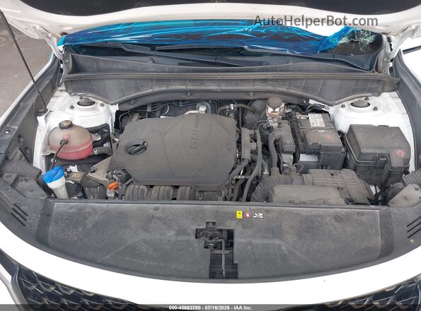 5XYRL4LC9MG018430 2021 KIA SORENTO Белый Вид сзади