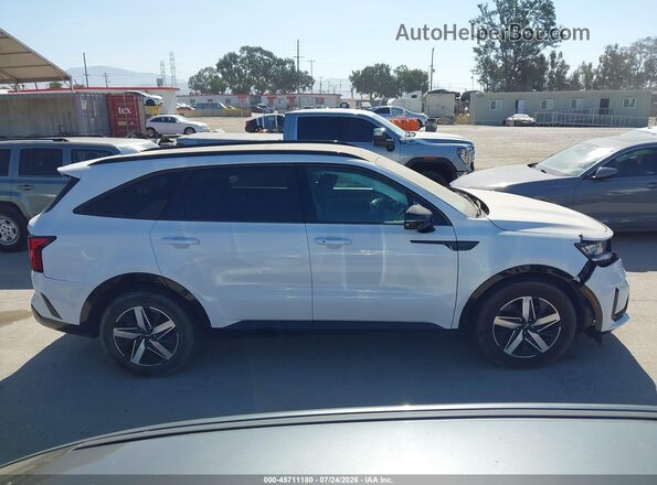 5XYRL4LC9PG167442 2023 KIA SORENTO Белый Вид задней части салона