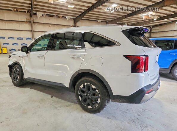 5XYRLDJC0RG282839 2024 KIA SORENTO Белый Задняя левая четверть