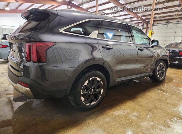 5XYRLDJC0SG389556 2025 KIA SORENTO Gray Задня права чверть