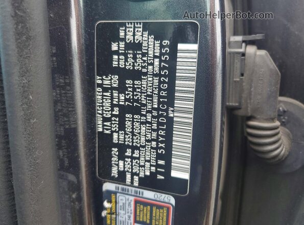 5XYRLDJC1RG257559 2024 KIA SORENTO Charcoal Widok wnętrza 360 stopni
