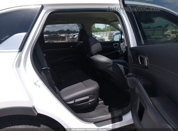 5XYRLDJC3RG253884 2024 KIA SORENTO White Widok naklejki z numerem VIN
