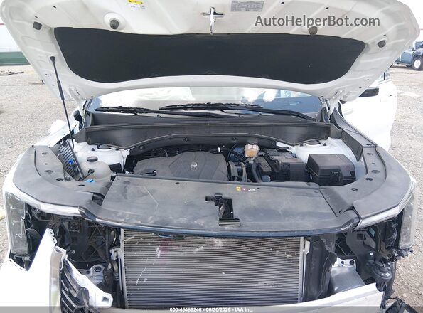5XYRLDJC3RG253884 2024 KIA SORENTO White Widok z tyłu