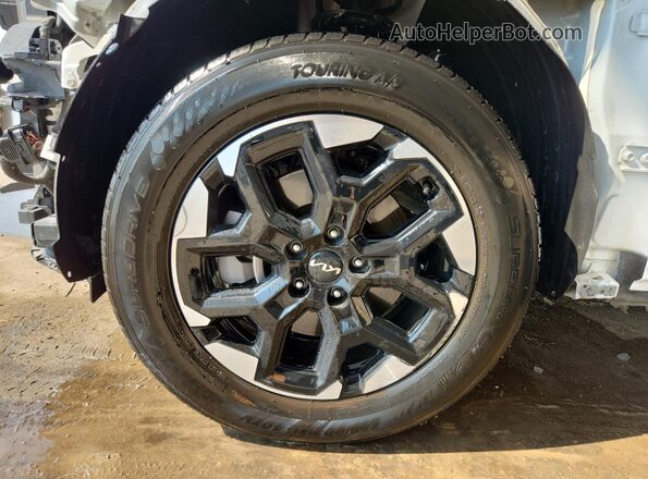 5XYRLDJC5RG288197 2024 KIA SORENTO Белый 