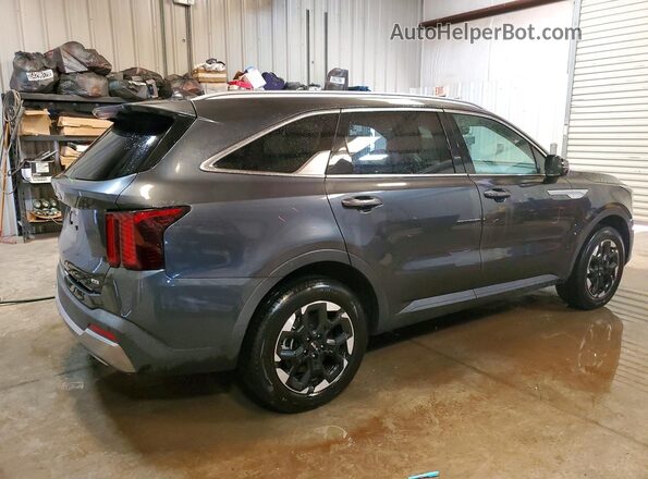 5XYRLDJC6RG289777 2024 KIA SORENTO Gray Tył prawy