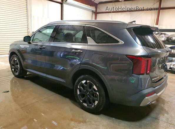 5XYRLDJC6RG289777 2024 KIA SORENTO Gray Tył lewy