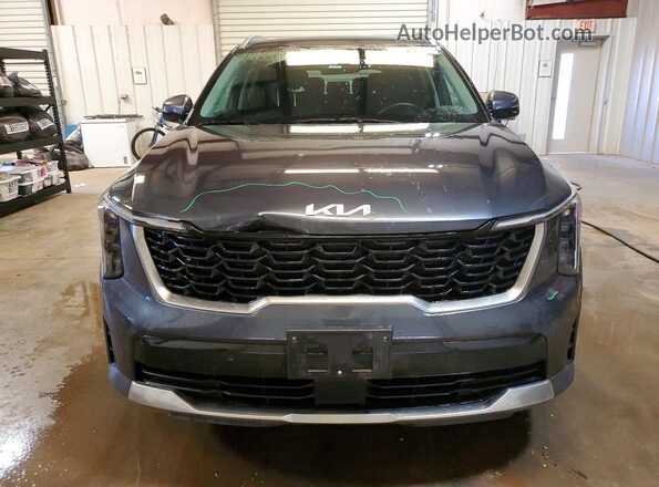 5XYRLDJC6RG289777 2024 KIA SORENTO Gray Widok z przodu