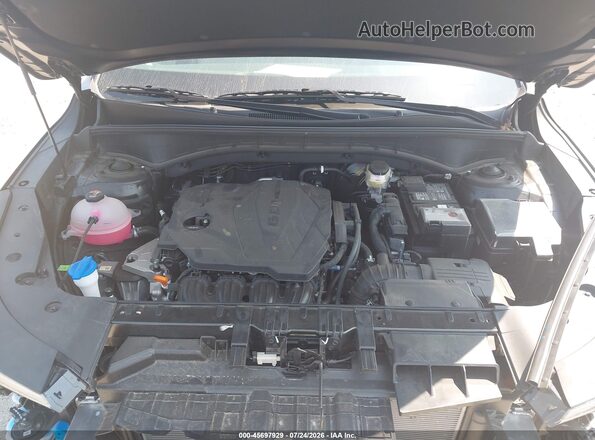5XYRLDJC8SG368227 2025 KIA SORENTO Black Հետևի տեսք