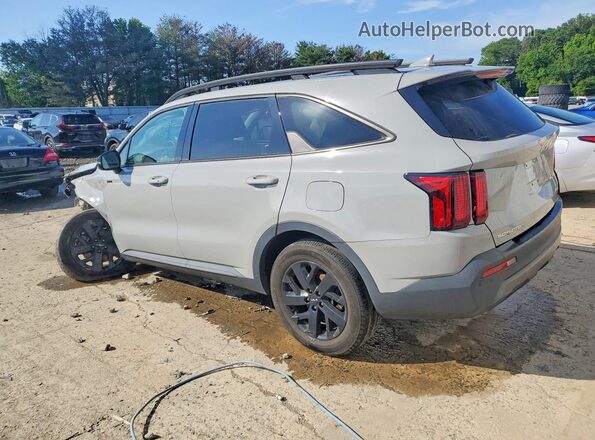 5XYRLDLC4PG194743 2023 KIA SORENTO Silver Հետևի ձախ