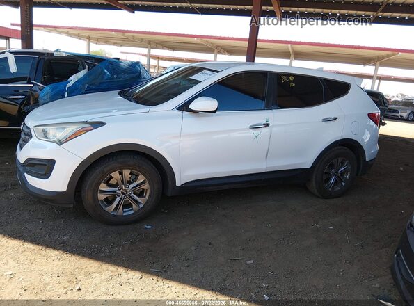 5XYZT3LB0GG317942 2016 HYUNDAI SANTA FE SPORT White უკანა სალონის ხედი