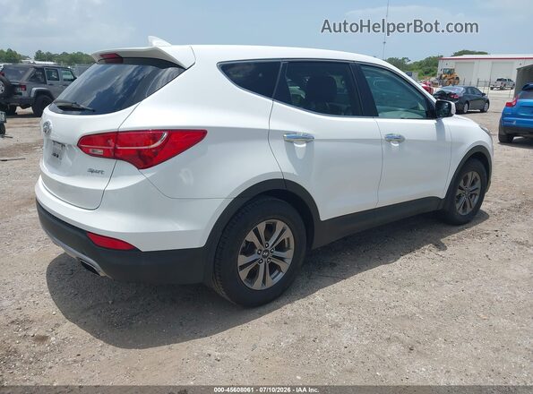 5XYZT3LB8GG356178 2016 HYUNDAI SANTA FE SPORT White Tył prawy