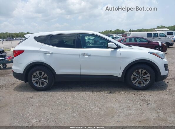 5XYZT3LB8GG356178 2016 HYUNDAI SANTA FE SPORT White Widok wnętrza z tyłu