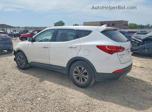 5XYZT3LBXGG317169 2016 HYUNDAI SANTA White Rear left