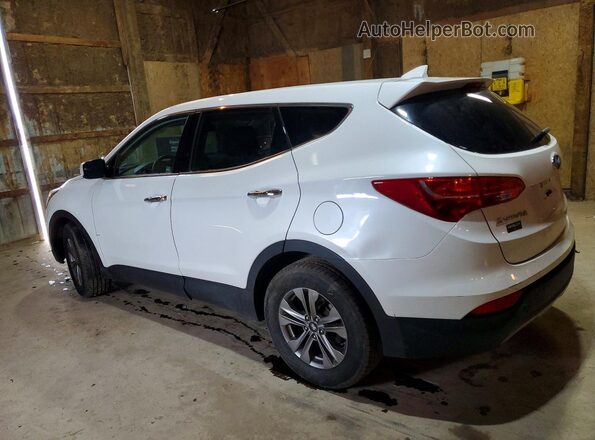 5XYZTDLB5GG342468 2016 HYUNDAI SANTA White Задня ліва чверть