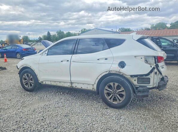 5XYZTDLB8GG368644 2016 HYUNDAI SANTA White Rear left