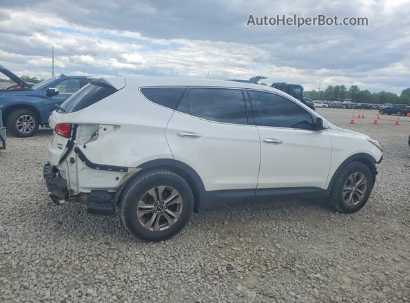 5XYZTDLB8GG368644 2016 HYUNDAI SANTA White Rear right