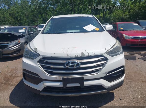 5XYZTDLB8HG403393 2017 HYUNDAI SANTA FE SPORT Белый Вид задней части салона