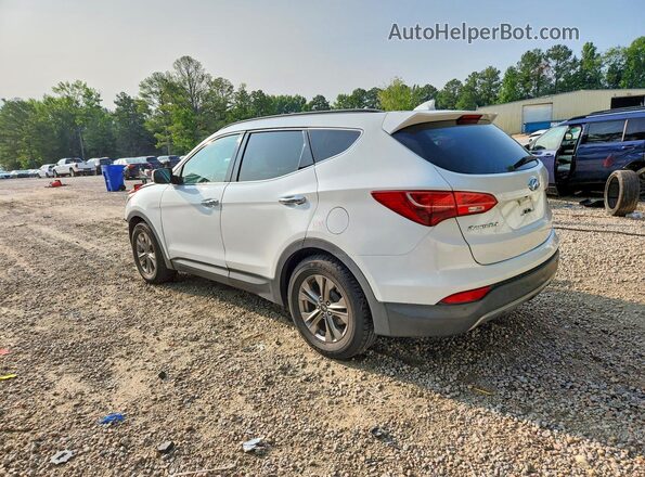 5XYZU3LB7GG311939 2016 HYUNDAI SANTA White Tył lewy