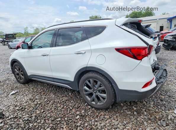 5XYZWDLA3HG427132 2017 HYUNDAI SANTA Белый Задняя левая четверть