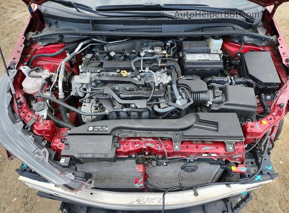 5YFB4MDE0SP257937 2025 TOYOTA COROLLA Красный Вид задней части салона